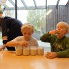 DSC01867-Kopie